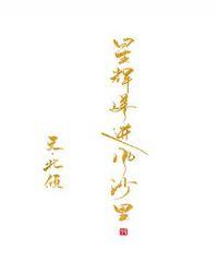 星辉落进风沙里